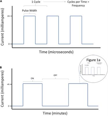 A Review of Parameter Settings for Invasive and Non-invasive Vagus Nerve Stimulation (VNS) Applied in Neurological and Psychiatric Disorders